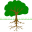 ✇
